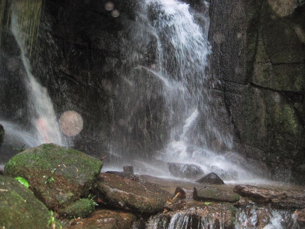 Pilar do Sul Pousada Recanto Dos Pinheiros מראה חיצוני תמונה